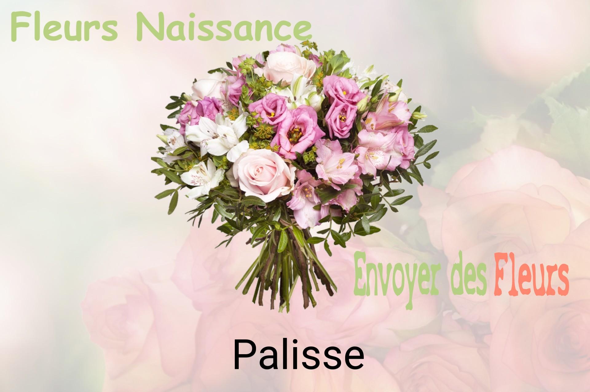 Bouquet de fleurs de naissance livré à Palisse