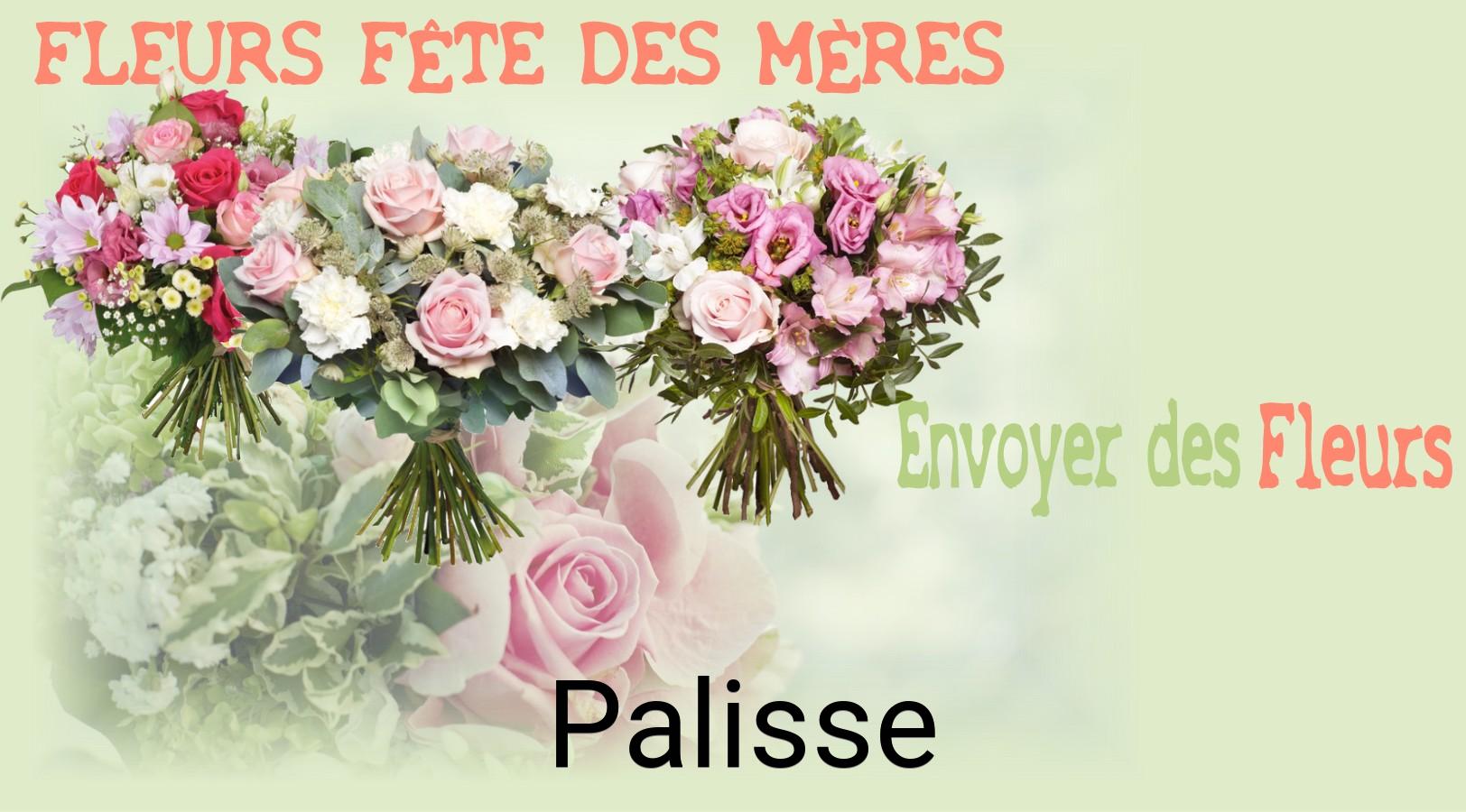 Bouquet de Fête des Mères livré à Palisse
